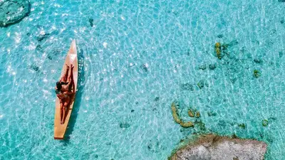 Ligula tristique quis risus